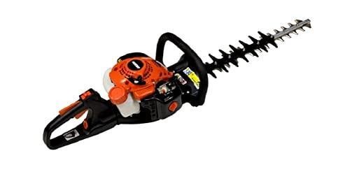 Echo 2 cc gas - cc,